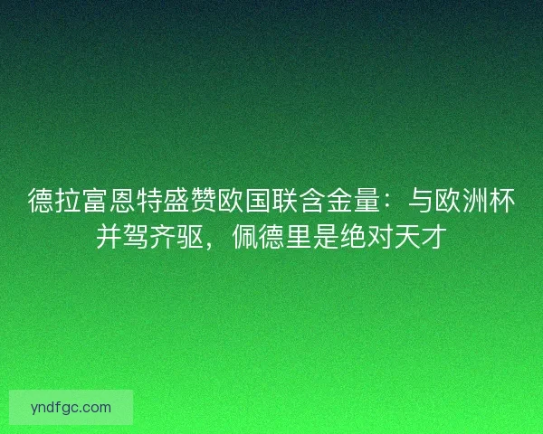 德拉富恩特盛赞欧国联含金量：与欧洲杯并驾齐驱，佩德里是绝对天才