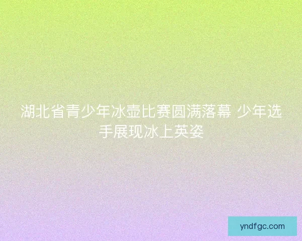 湖北省青少年冰壶比赛圆满落幕 少年选手展现冰上英姿
