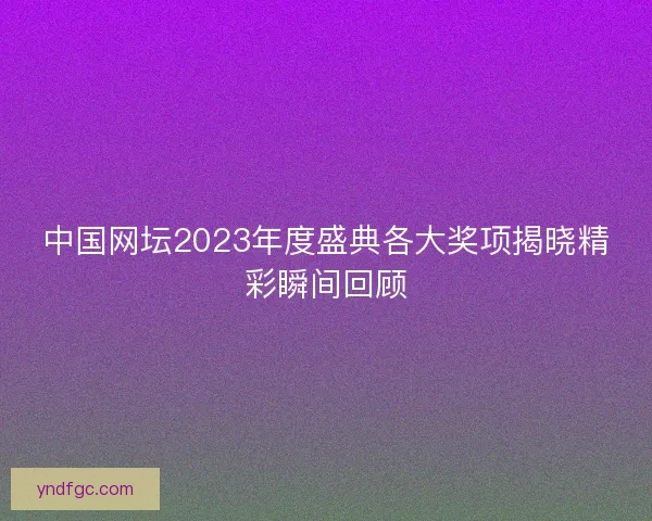 中国网坛2023年度盛典各大奖项揭晓精彩瞬间回顾 中国网坛2023年度盛典各大奖项揭晓精彩瞬间回顾